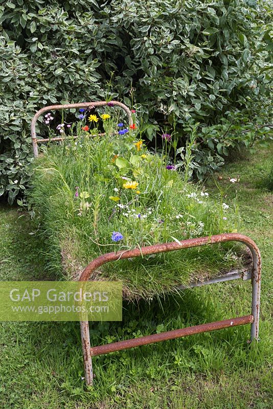 An upcycled metal frame bed featuring a turf base planted with Wildflowers