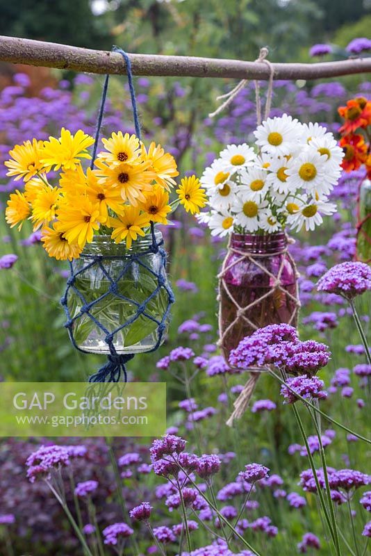A floral display of glass vases in woven nets, hanging above a cluster of Verbena bonariensis