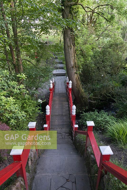Stone steps to red painted wooden bridge in woodland - June, Clyne Gardens, Swansea, Wales