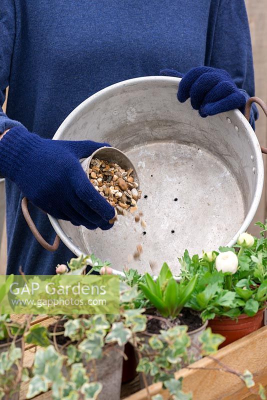 Step 2. Pour gravel over the drainage holes. Planting an old aluminium preserving pan in early spring. 