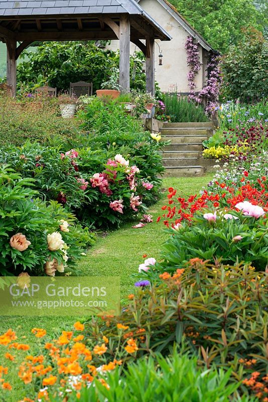 A grass path between double perennial borders planted with herbaceous peonies, geums, astrantias, centaurea and euphorbias.