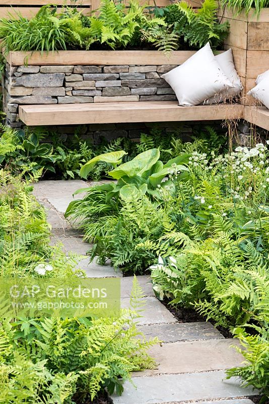 A woodland inspired city garden with floating wooden bench and raised dry stone beds planted with Dryopteris, Astrantia, Buxus and Hosta. Inner City Grace. Designed by Gary Price.