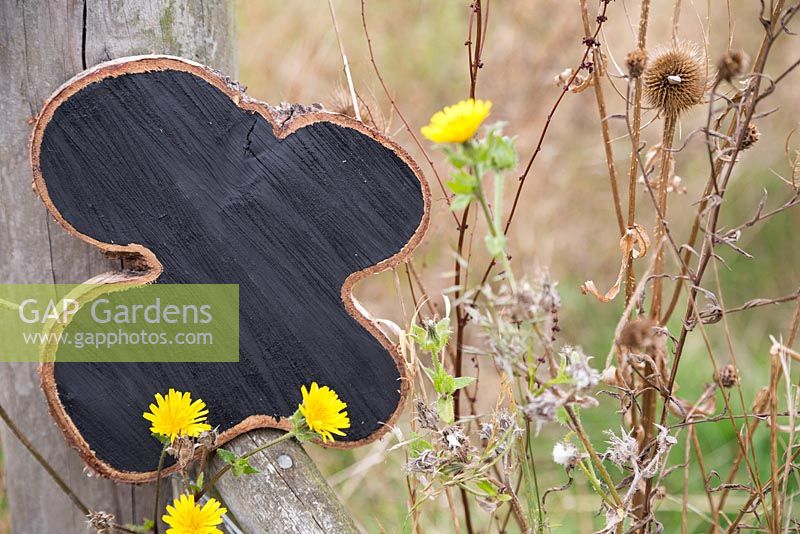 A blank Oak tree slice painted with blackboard paint to be used as a sign or label