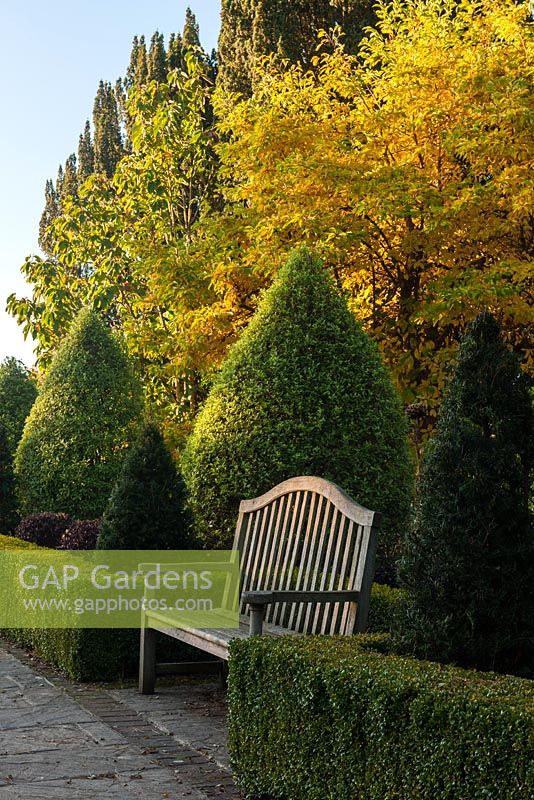 Wooden garden bench in formal country garden, November 