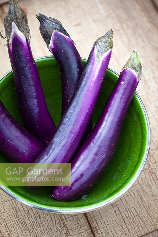 Chinese aubergines in a green bowl. Eggplant