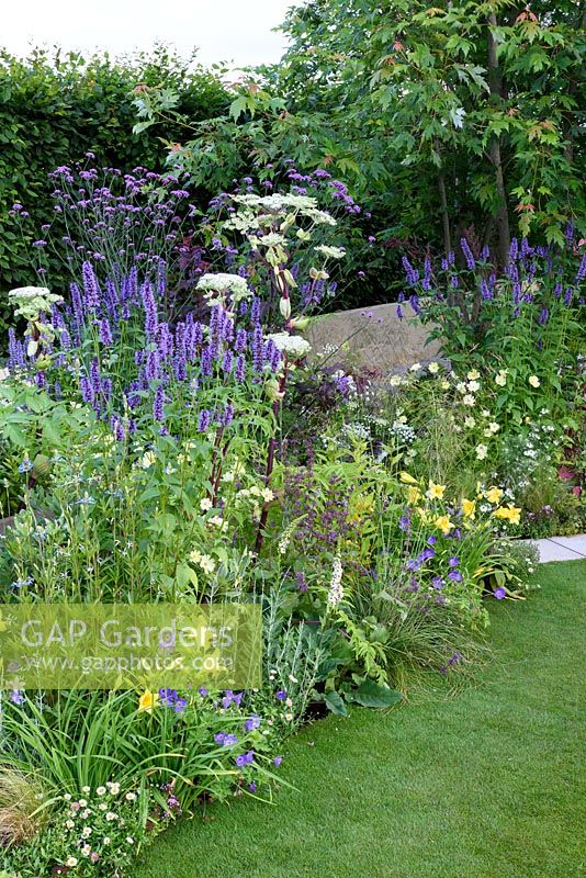 Dogs Trust. A Dogs Life. Yellow and Blue herbaceous planting. Designers: Paul Harvey-Brookes, Sponsors: Dogs Trust. RHS Hampton Court Palace Flower Show 2016