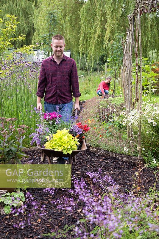 Man carrying plants in a wheelbarrow through the garden, girl working in background