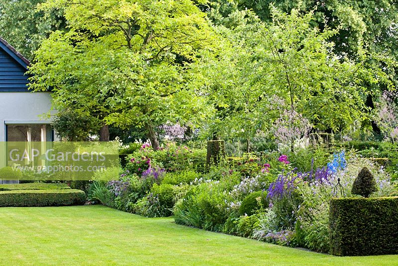 Summer border includes Salvia x sylvestris 'Dear Anja', Delphinium Belladonna-Hybride 'Piccolo', Rosa 'Rhapsody In Blue', Geranium riversleaianum 'Russel Prichard'. Sarina Meijer garden