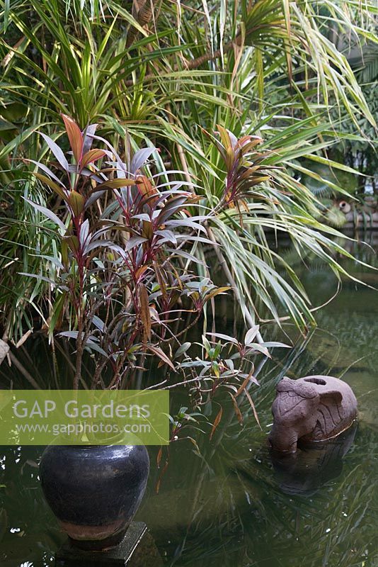 Stone elephants and Cordyline fruticosa in pot in tropical pool - Myanmar