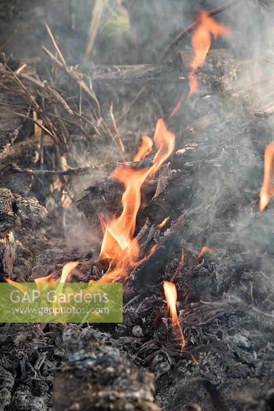 Bonfire on vegetable plot, flames and smoke, close up of flames