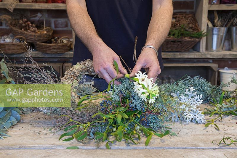 Inserting Hyacinthus orientalis 'Carnegie' into wreath