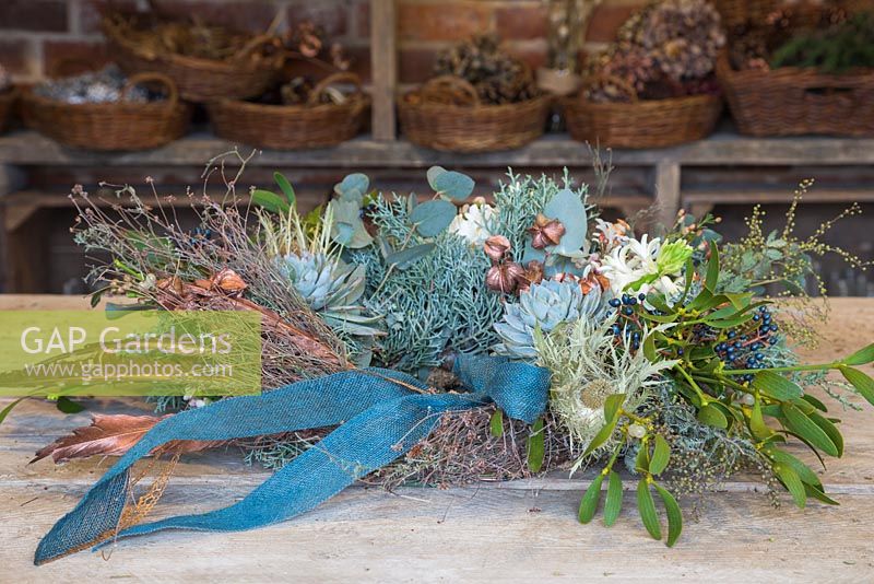 A modern Christmas wreath featuring Eucalyptus gunnii, Hyacinthus orientalis 'Carnegie', Echeveria, Senecio cineraria 'Silver Dust', Thymus vulgaris, Viburnum davidii, Mistletoe - Viscum album, Chamelaucium - wax flower, Acacia dealbata and Cupressus arizonica 'Glauca'