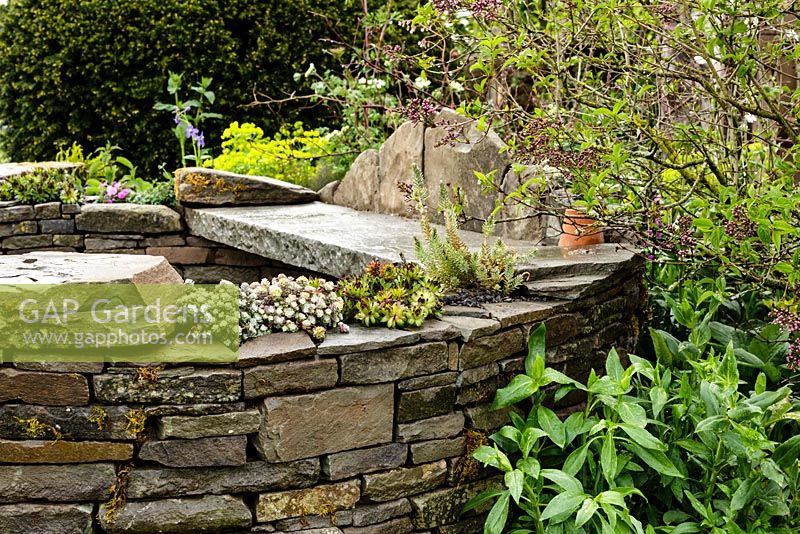 Curved stone wall seating area with succulents and naturalistic planting - Macmillan Legacy Garden - RHS Malvern Spring Show 2016. Designer: Mark Eveleigh, Sponsor: Macmillan Cancer Support