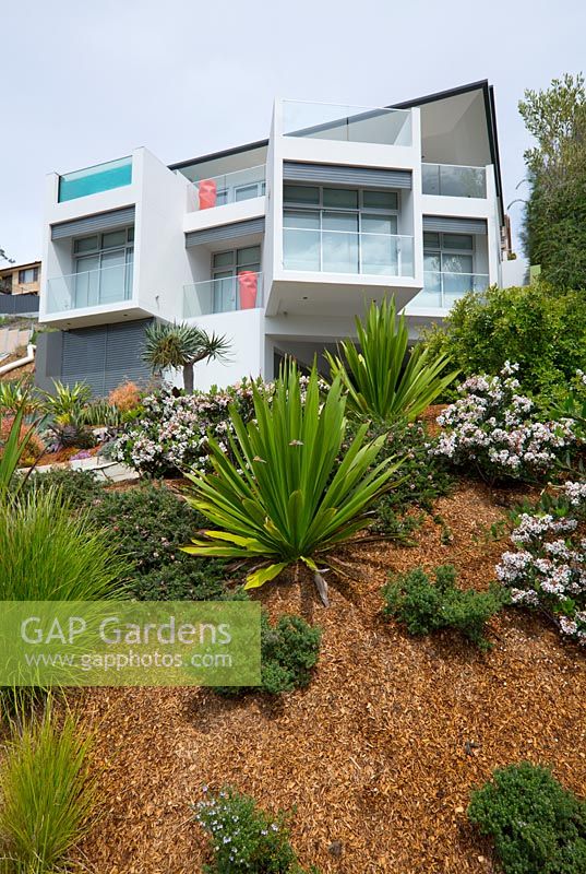 A modern glass and concrete house with an in-built swimming pool seen in an Australian beach-side suburb on a steep sloping garden covered with fine grade bark mulch and stabilised with a variety of plants and grasses.