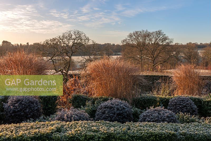 View towards South Park at Borde Hill in Winter