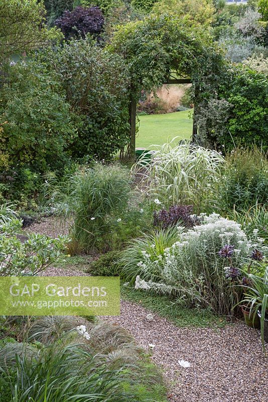 Overview of the White Garden, featuring gravel path leading past variegated grasses and perennials