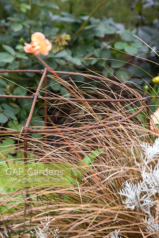 Carex plant support, crafted by Roger Cole-Jones