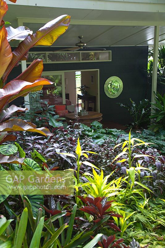 View across tropical garden looking at exterior of B and B in tropical northern Australia.