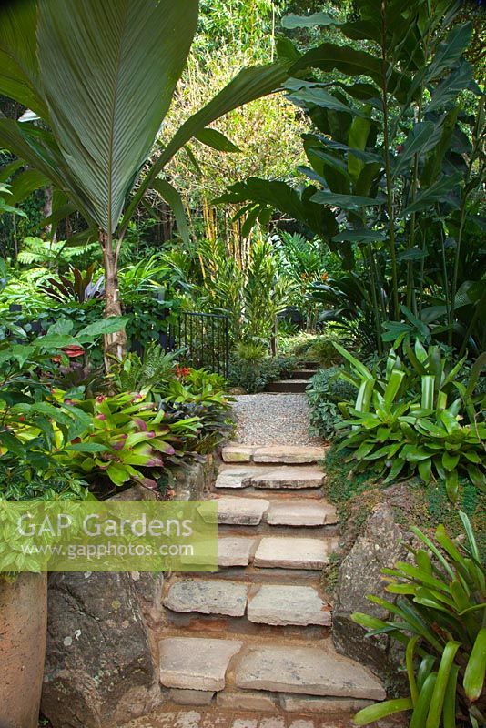 Flagged steps through a swathe of bromeliads lead up to a higher level in a tropical garden.