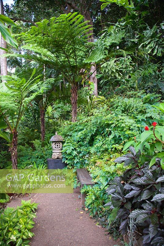 A Balinese carved stone lantern sits on a large black timber plinth next to a simple timber bench at the end of a pea gravel path surrounded by a thick planting of ferns and other shade loving plants.