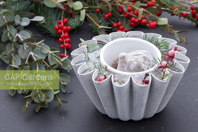 A frozen Jelly mould containing Pine foliage, Eucalyptus and Ilex verticillata berries