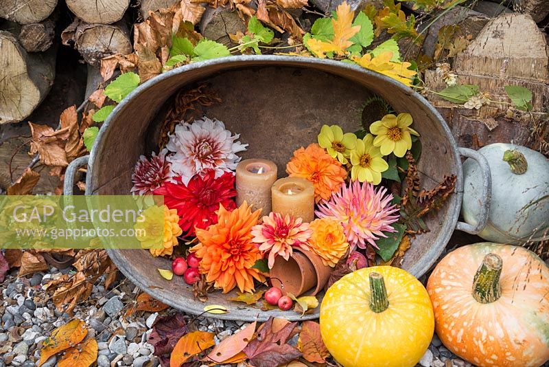 Arrangement in stainless steel basin containing lit candles, Malus, Pumpkins and a variety of cut Dahlias