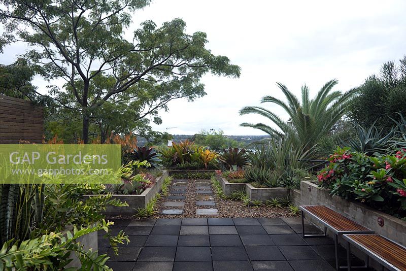 Wide view of a rooftop garden featuring the colourful foliage of assorted bromeliads, succulents, ferns, palms and cycades. 