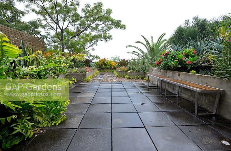 Wide view of a rooftop garden featuring the colourful foliage of assorted bromeliads, succulents, ferns, palms and cycades. 