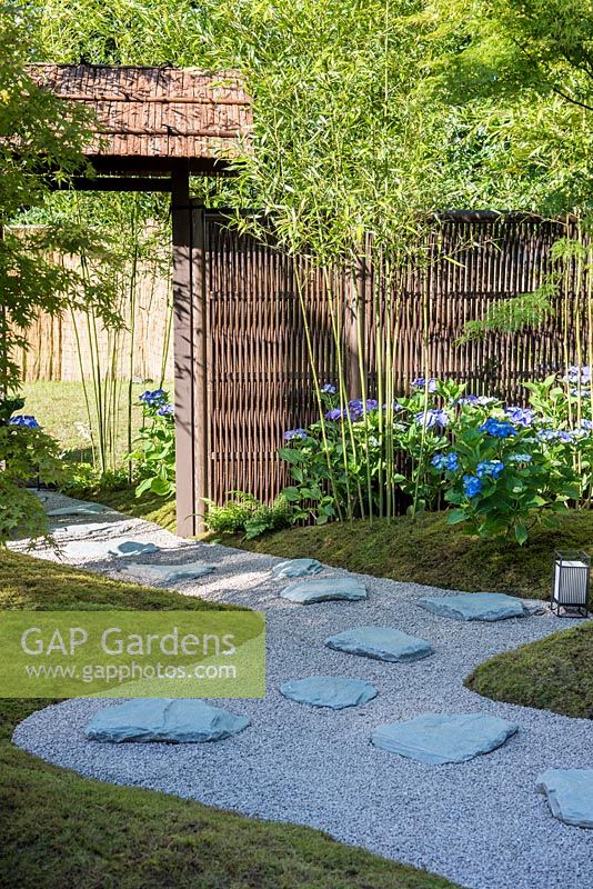 View of the path with slate paving stones and entrance to the garden surrounded by Phyllostachys bissetii, blue flowering Hydrangea and knitted Bamboo fence. Japanese Summer Garden. Designed by Saori Imoto. Sponsored by Unique Japan Tours