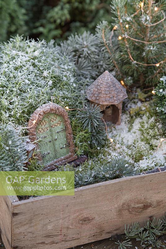 Winter wonderland box constructed with artificial snow, minature objects, lights, Scotch moss, Pinus foliage, Conifer, Moss and blue Spruce