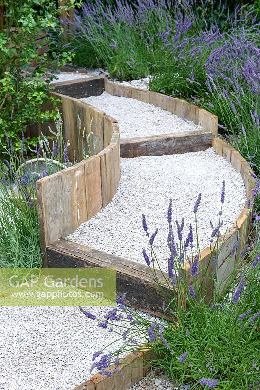 A circular, stepped gravel pathway surrounderd by lavender. Hampton Court Flower Show 2016 