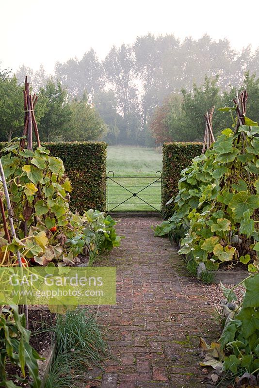 Vegetable garden with gate and countryside beyond. Ulting Wick, Essex