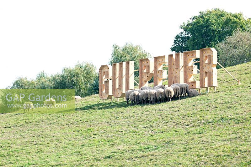 Sheep on a hill near the wooden letters of Gulpener.