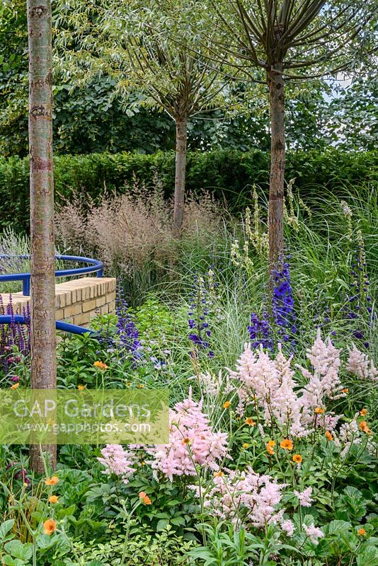 Planting in The Abbeyfield Society: a Breath of Fresh Air, RHS Hampton Court Palace Flower Show 2016. Design: Rae Wilkinson