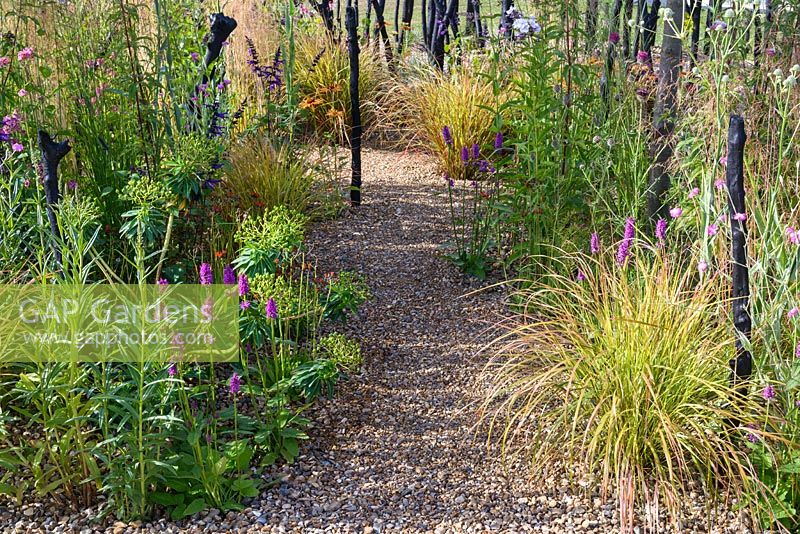 Black Stained Branches and Drought Tolerant Planting in Grave with Stachys monieri 'Hummelo' and Anemanthele lessoniana. Striving for Survival, RHS Hampton Court Palace Flower Show 2016. Design: Holly Fleming