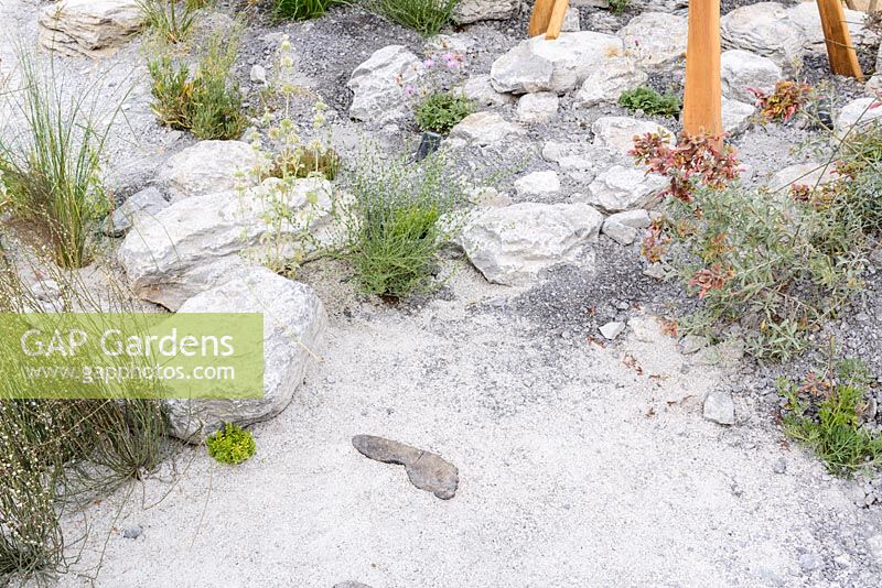 White stone and gravel Meandering Path with Footprints Near Future Garden, RHS Hampton Court Palace Flower Show 2016. 