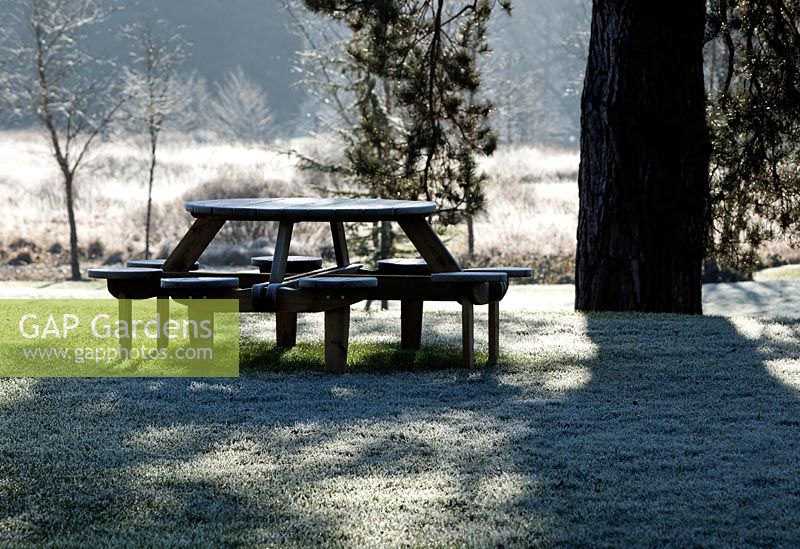 Picnic bench in winter shade