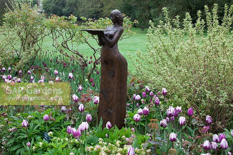 Sculpture 'Clemmie' by Alexandra Beale underplanted with Tulipa 'Rem's Favourite', Tulipa 'Curly Sue' and Hellebores, in the Stellata beds