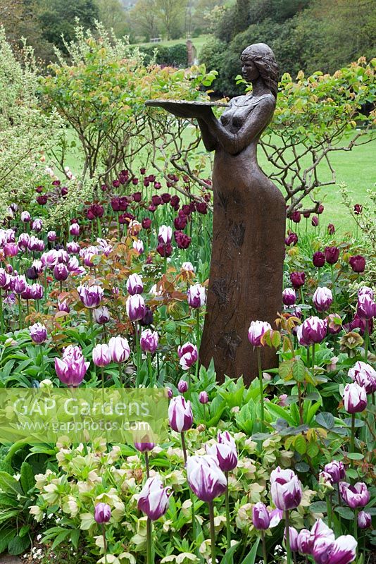 Sculpture 'Clemmie' by Alexandra Beale underplanted with Tulipa 'Rem's Favourite', Tulipa 'Curly Sue' and Hellebores, in the Stellata beds