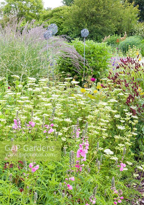 Contemporary metal garden ornaments rise above a herbaceous border featuring grasses and plants such as Cenolophium denudatum and Sidalceas at Bluebell Cottage Gardens, Cheshire 