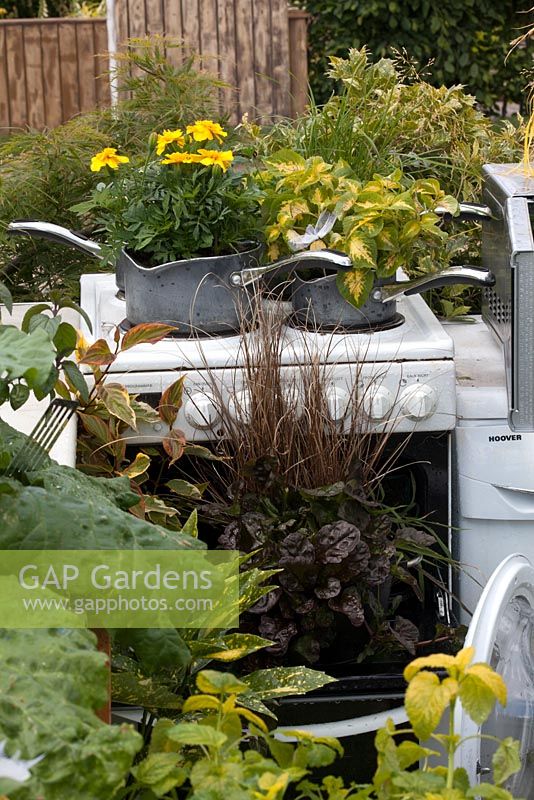 Saucepan Planters in the Recycled and reused garden BBC Gardeners World Live 2015