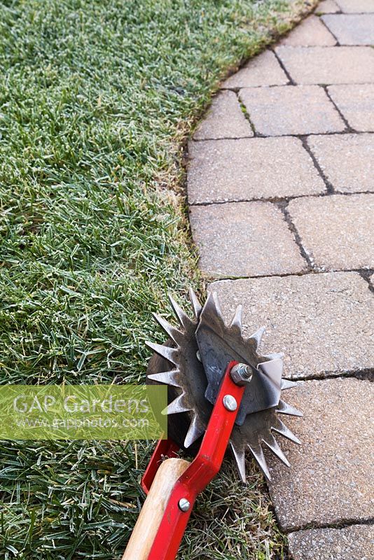 Red manual lawn edger with edged border between lawn and patio 