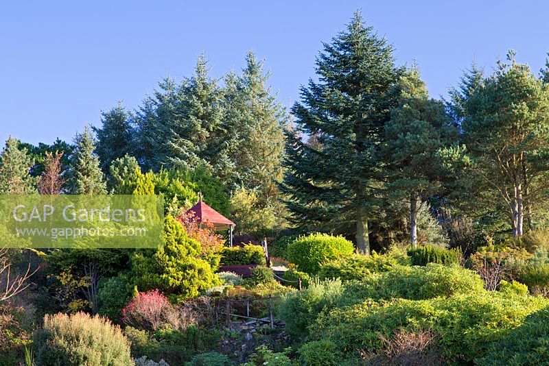Summer house sits on hillside among shrubs and conifers