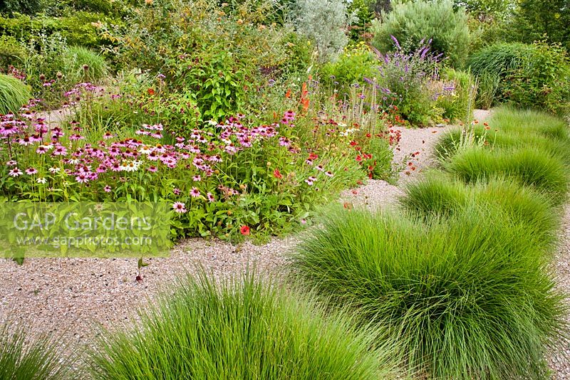 Shell path between Pennisetum alopecuroides 'Hameln' and border of perennials.