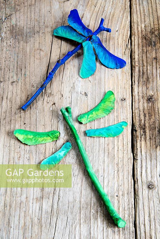 Seeds of sycamore and twigs used to make helicopter dragonflies