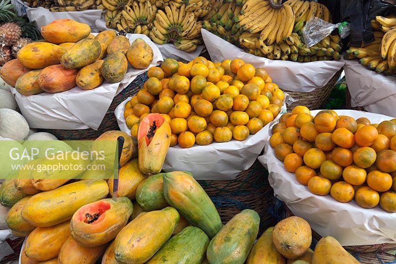 A display of tropical fruits including papayas, pineapples and bananas 