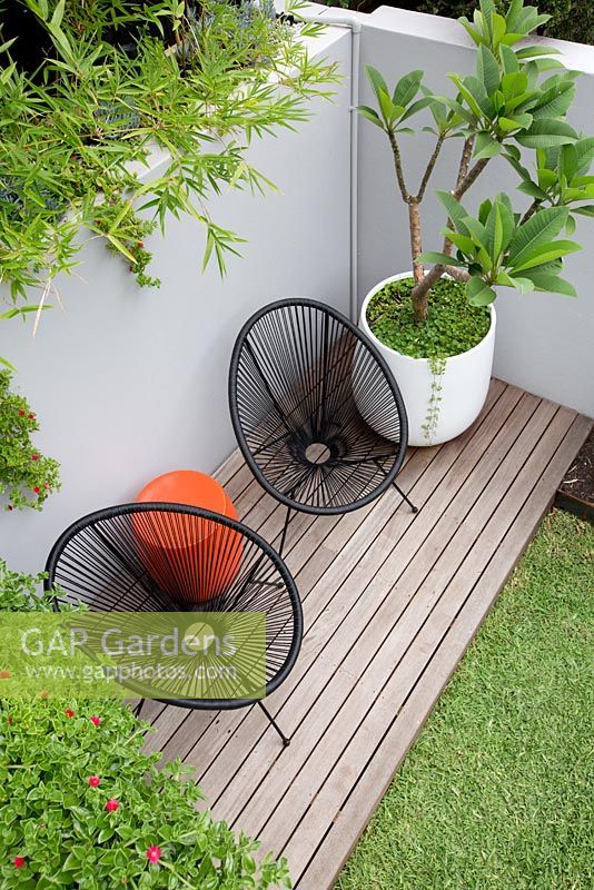 An overhead view of a timber deck with two black Acapulco chairs, an orange plastic drum table a round white plastic pot with a Plumeria, Frangipani in it in front of a grey painted cement rendered retaining wall and a screen of Slender weavers bamboo.