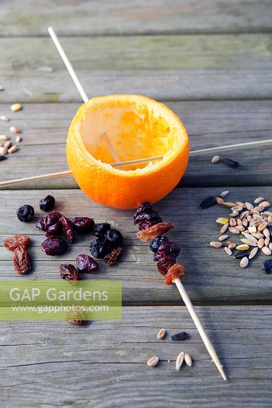 Currants on skewers for making citrus bird feeders