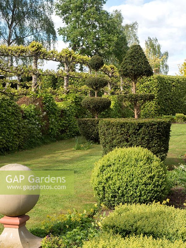 The Laskett Gardens- The long lawn beside the Elizabeth Tudor walk with amazing topiary in many creative shapes including tiered and animal features.  A Taxus bachata hedge runs along the side.