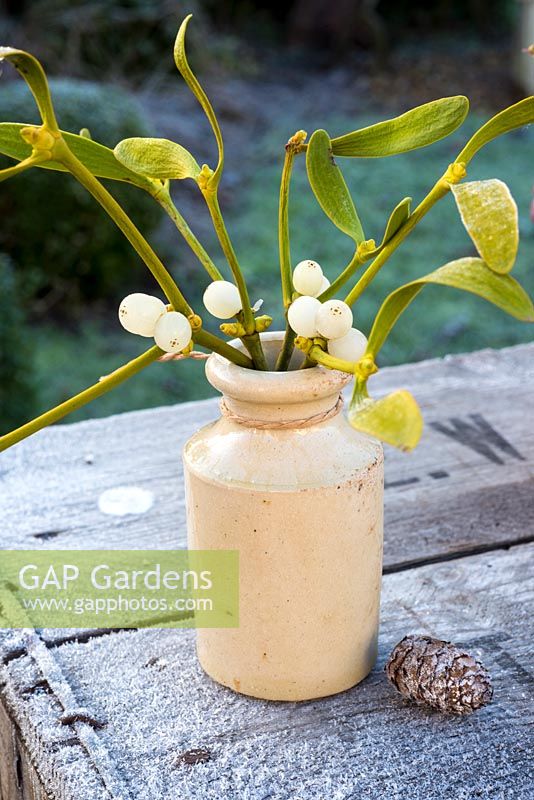 Frosty mistletoe in small earthernware bottle